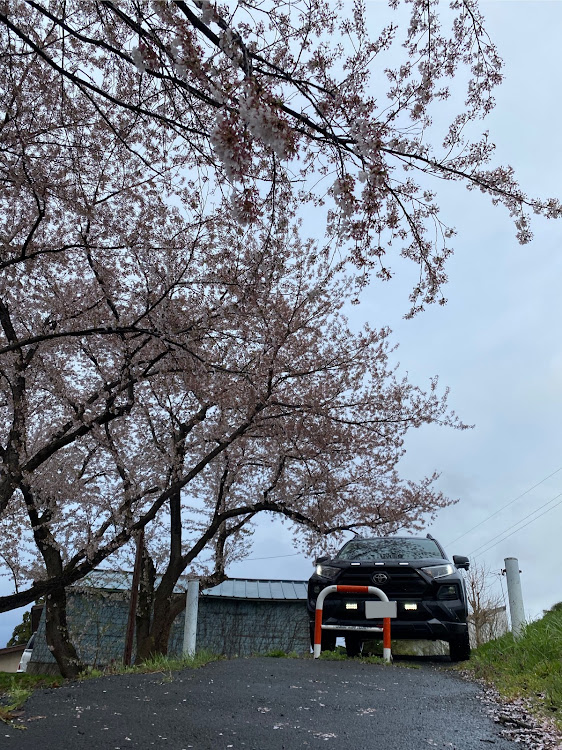 RAV4のPickUpCarsで会いましょう・山形県ユーザーと繋がりたい!!・RAV4乗りさんと繋がりたい・桜と愛車のコラボ・天気悪いに関するカスタム事例の投稿画像2枚目
