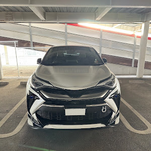 C-HR ZYX11