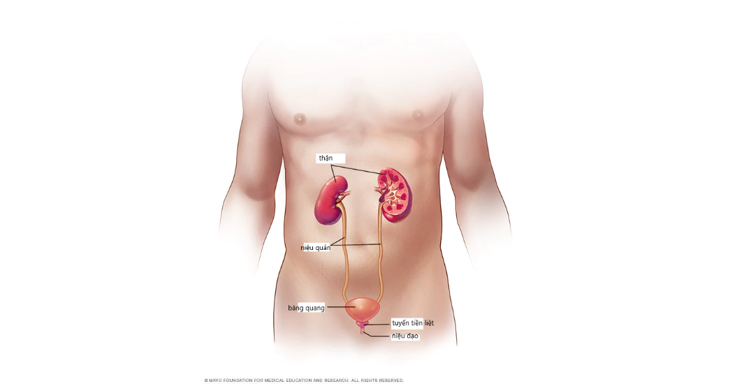 Diagram

Description automatically generated