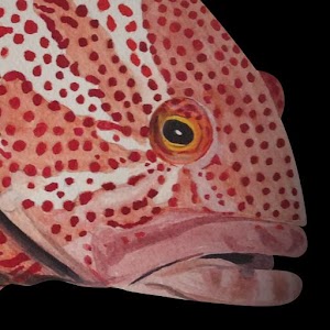 Hong Kong Fish logo