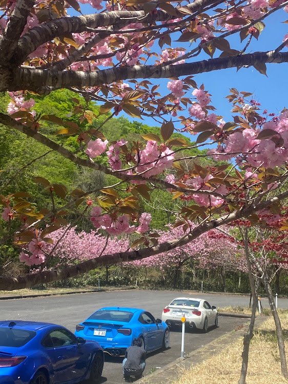 86の86BRZに関するカスタム事例の投稿画像3枚目