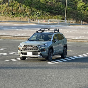 RAV4 MXAA54