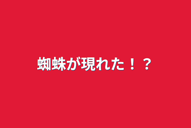 「蜘蛛が現れた！？」のメインビジュアル