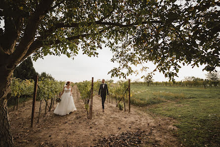 Fotografo di matrimoni Szabolcs Simon (simonboros). Foto del 24 novembre 2022