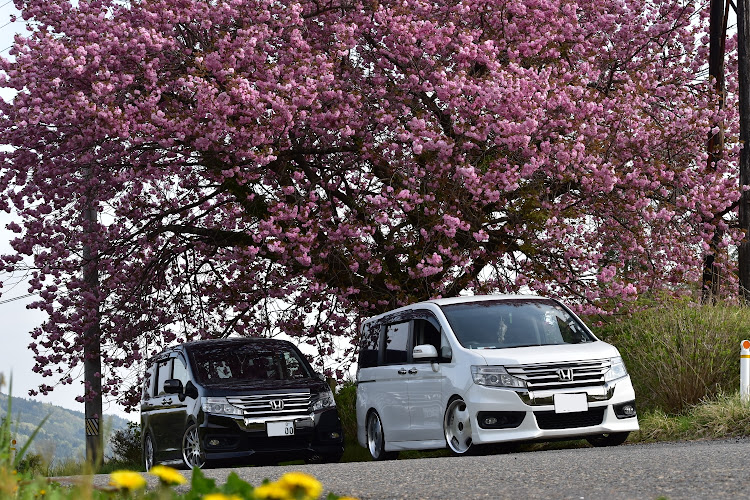 ステップワゴンスパーダの友達とコラボ！！・車高調取付・桜の季節・一眼レフに関するカスタム事例の投稿画像1枚目
