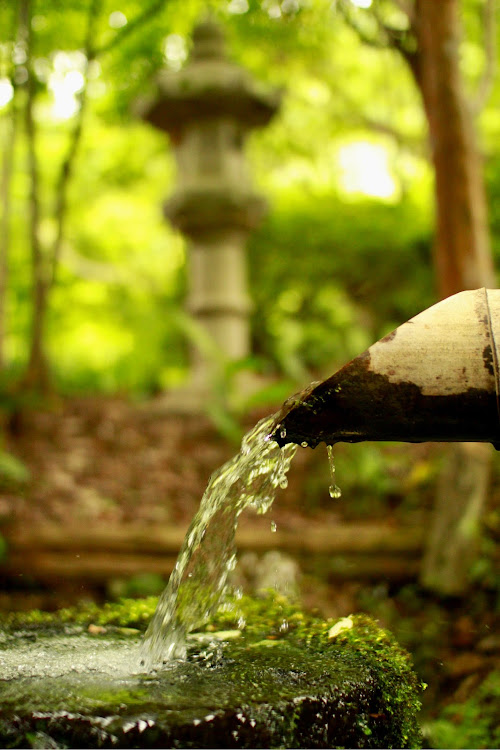 ヴォクシーのヴォクシー80後期・皆さんに感謝します🙏🏻・古民家カフェ☕️・オシャレな庭園をﾊﾟｼｬﾘ! Σpω･´)・一眼レフカメラ練習中に関するカスタム事例の投稿画像6枚目