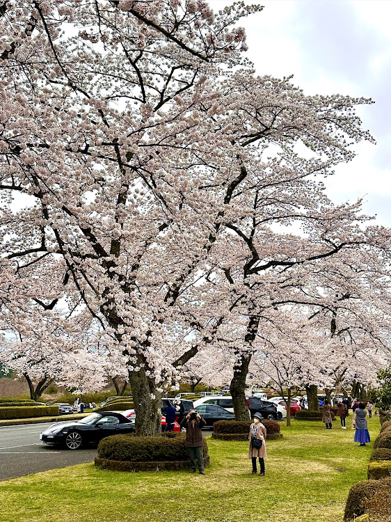 の投稿画像2枚目