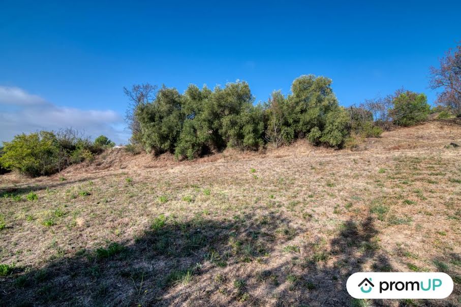 Vente terrain  1600 m² à Caunes-Minervois (11160), 78 000 €