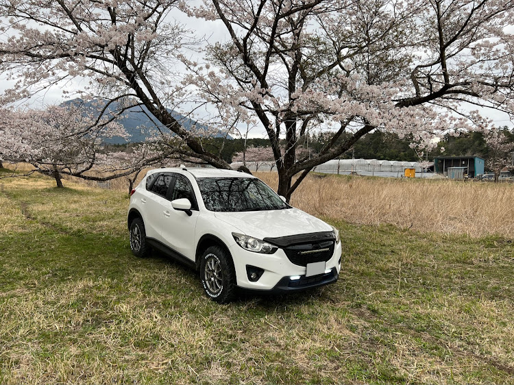 CX-5のcx5ke・桜とコラボ・泥分補給・タイヤ換装記念？に関するカスタム事例の投稿画像5枚目