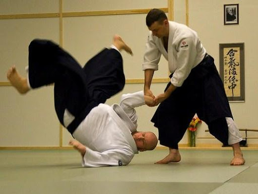Best Aikido Technique