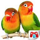 App herunterladen Educational Game Real Birds Installieren Sie Neueste APK Downloader