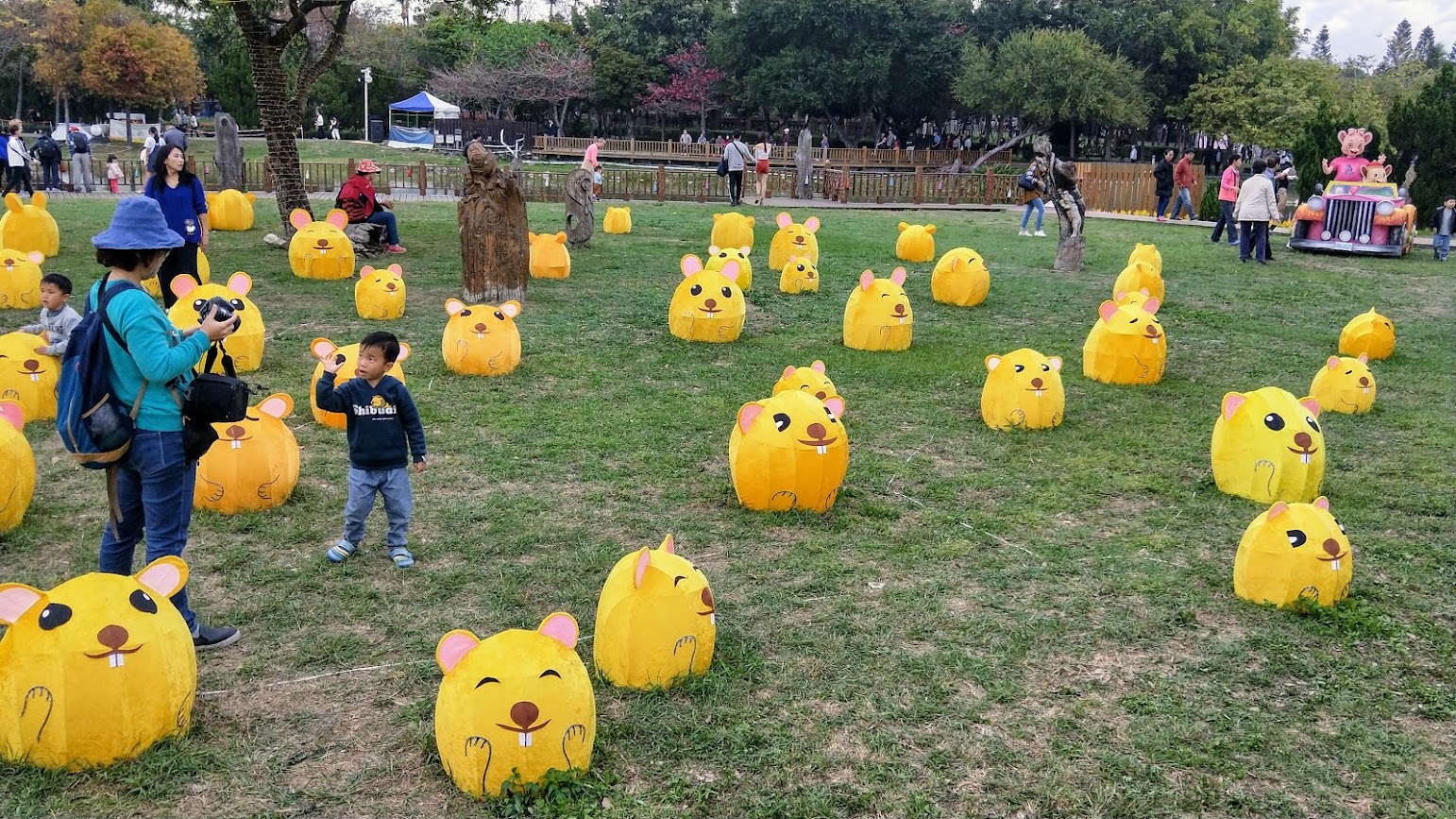 2020 花在彰化 溪州公園