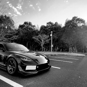 RX-8 SE3P