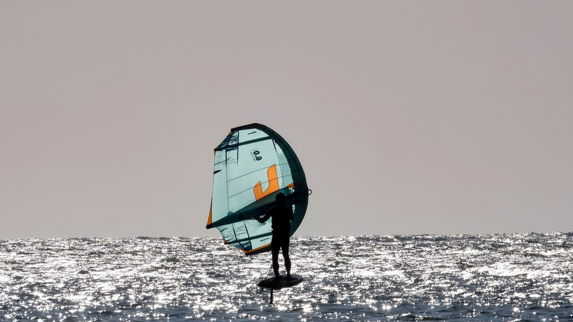 Volando sul mare d'argento di Fioredimare