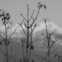 L'inverno che non arriva. di 