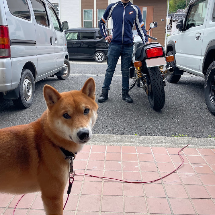 その他のhyod・バイク・GSX1100S・S2000・柴犬に関するカスタム事例の投稿画像2枚目
