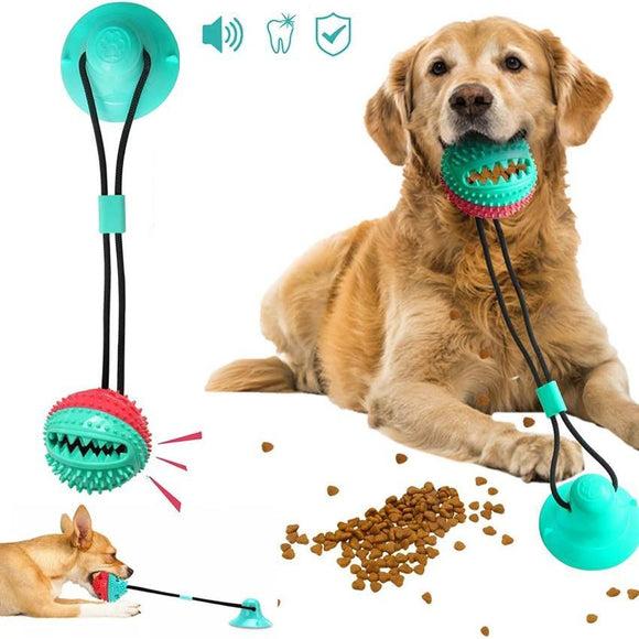 Eco-Friendly Chewy Dog Ball And Food Dispenser With Suction Cup- My Eco  Boutique