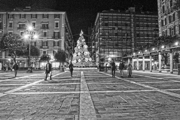 La piazza. di Naldina Fornasari