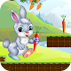 Download Bunny Fun Jumping Run For PC Windows and Mac 1.0