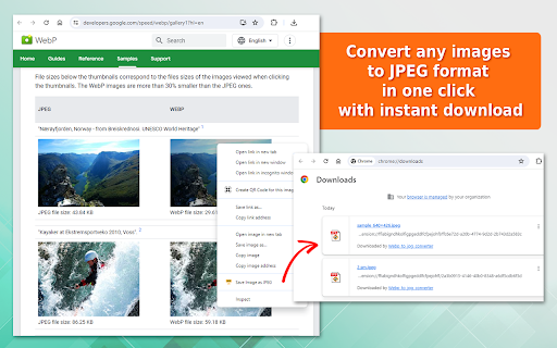 WebP to JPG Converter