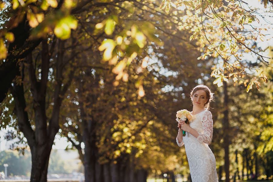 Photographe de mariage Yuriy Krasnov (hagen). Photo du 8 janvier 2016