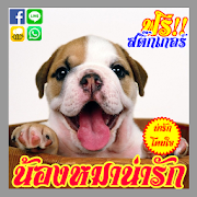 คอมเม้น น้องหมาน่ารักจัง  Icon