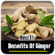 Download Health Benefits Of Ginger For PC Windows and Mac 1.0