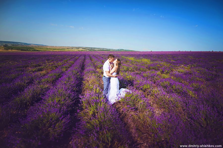 Wedding photographer Dmitriy Shishkov (dmitriyshi). Photo of 20 July 2017