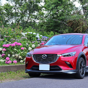 CX-3 DK5FW