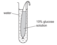 Movement of substances across membranes