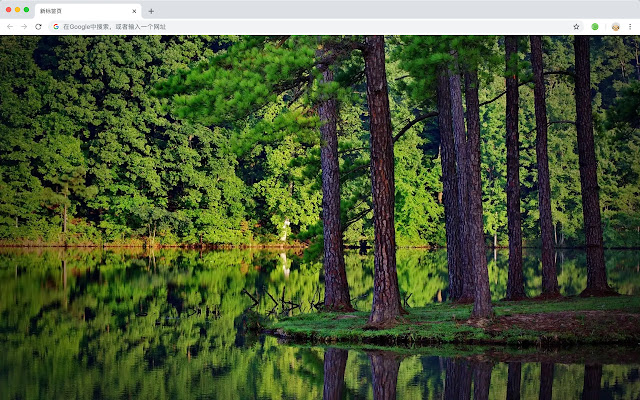 Forest New Tab Page HD Popular Scenery Theme
