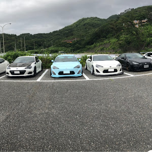 86 ZN6