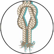 Basic Ropes and Knots Guide for Survival  Icon