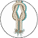 Basic Ropes and Knots Guide for Survival icon