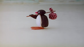 Pingu Is Introduced; Pingu Helps With Incubating thumbnail