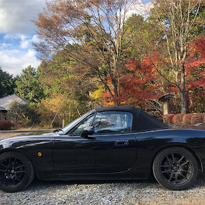 ロードスター NB6C