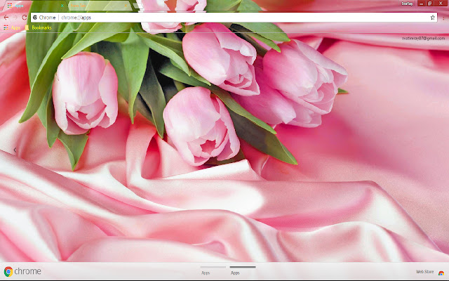 Flower Pastel Pink Tulip chrome extension