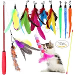 12PCS Feathers