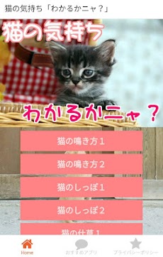 猫の気持ち「わかるかニャ？」ねこのきもち大百科！のおすすめ画像2