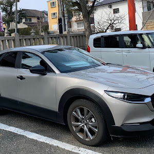 CX-30 DMEP