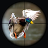 Duck Hunting Wild Adventure icon