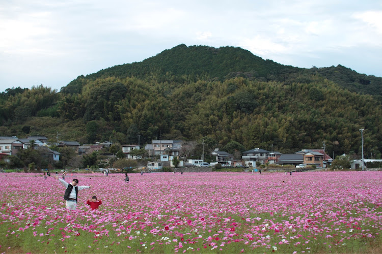 の投稿画像7枚目