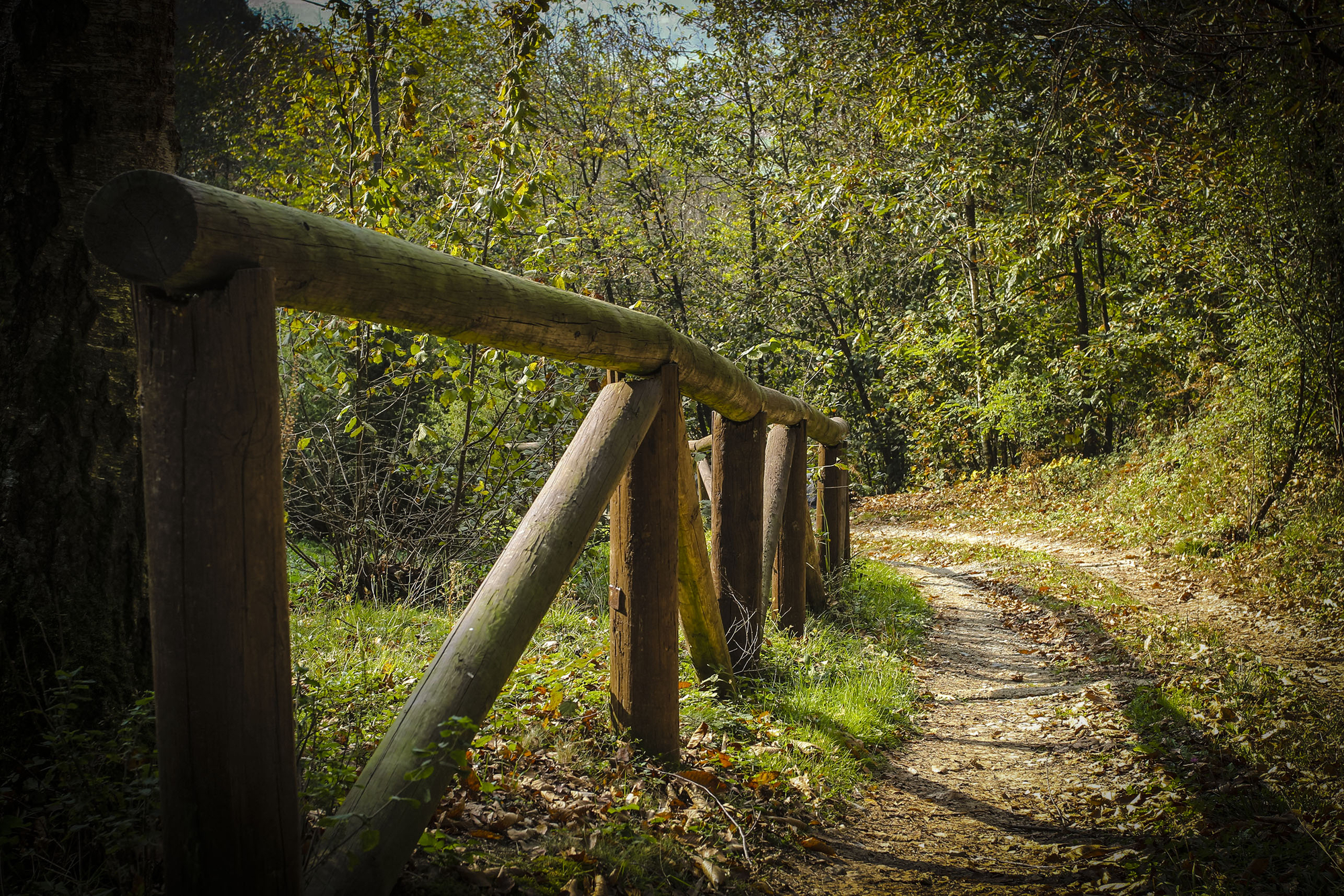 Fra la strada e il campo di rombodituono