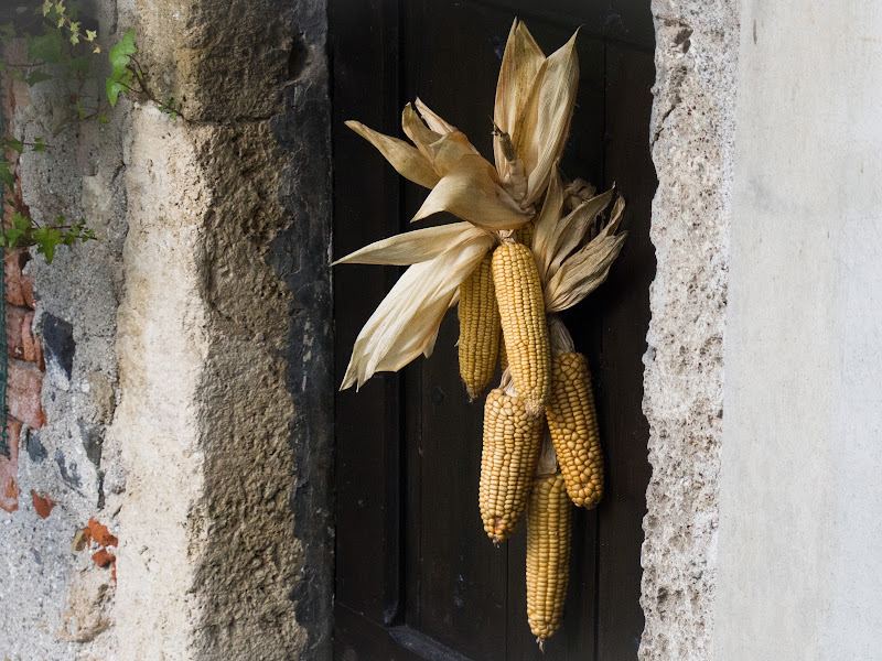 La porta dell' autunno. di Elisabetta Caselli