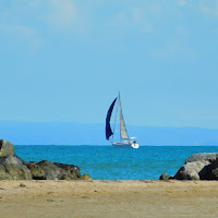 Profumo di mare  di 