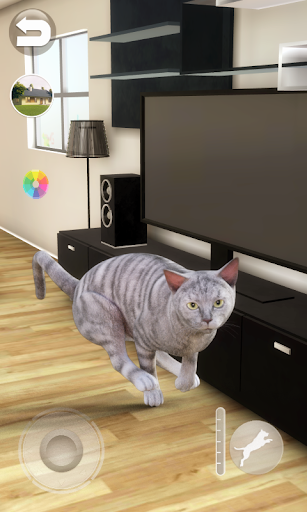 Screenshot Talking Tabby Cat