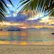 Item logo image for Tropical Beach Sunset