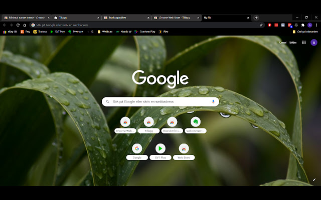 Minimal nature theme chrome extension