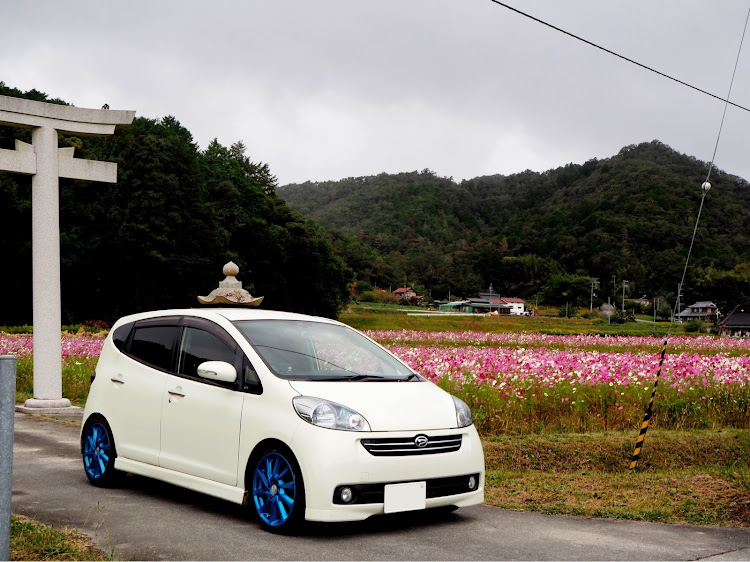 ソニカの小さい秋見つけた・波豆川・三田・コスモス・コスモスとコラボに関するカスタム事例の投稿画像1枚目