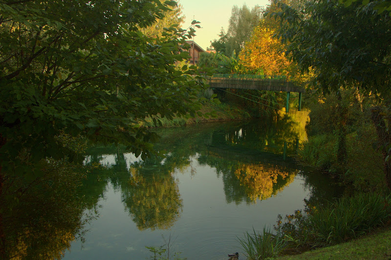 verde in città  parco razziol  di fabryfoto